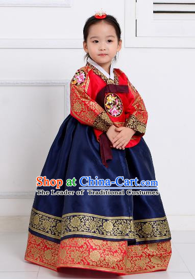 Top Grade Korean National Handmade Wedding Palace Girls Hanbok Costume Embroidered Red Blouse and Navy Dress for Kids