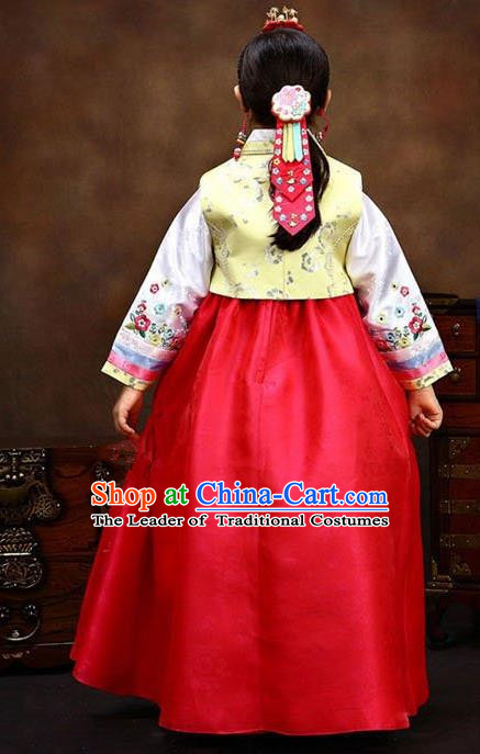 Traditional Korean Hanbok Clothing Fashion Apparel Hanbok Costume and Headwear