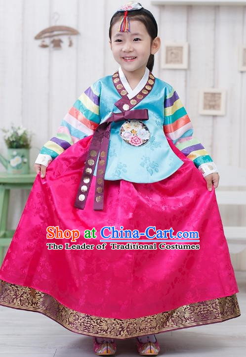 Traditional Korean Handmade Formal Occasions Embroidered Girls Wedding Costume Blue Blouse and Pink Dress Hanbok Clothing for Kids