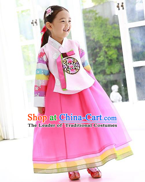 Traditional Korean Handmade Formal Occasions Embroidered Girls Costume Pink Blouse and Dress Hanbok Clothing for Kids