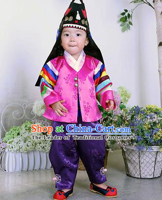 Traditional Korean Handmade Formal Occasions Embroidered Palace Prince Hanbok Rosy Clothing for Kids