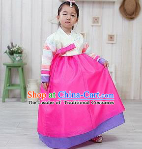 Traditional Korean Handmade Formal Occasions Embroidered Palace Princess Hanbok Pink Dress Clothing for Girls