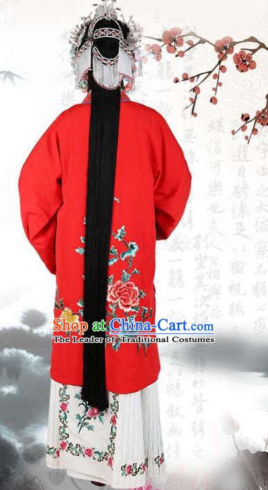 Traditional China Beijing Opera Costume Gifted Scholar Embroidered Robe and Hat Ancient Chinese Peking Opera Embroidery Clothing