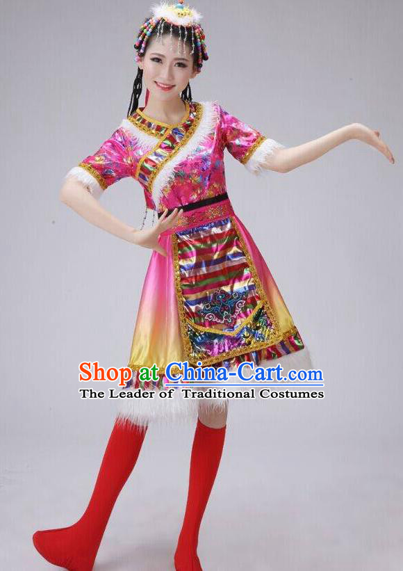 Traditional Chinese Zang Nationality Dancing Costume, Tibetan Female Folk Dance Ethnic Pleated Skirt, Chinese Tibetan Minority Pink Dress for Women