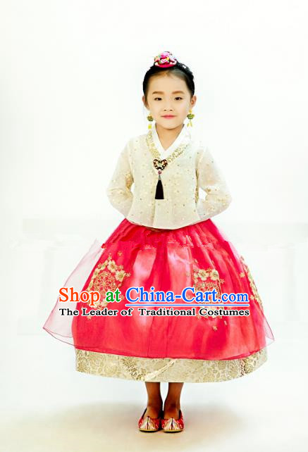 Traditional South Korean Handmade Hanbok Children Embroidery Birthday Red Dress, Top Grade Korea Hanbok Costume Complete Set for Kids