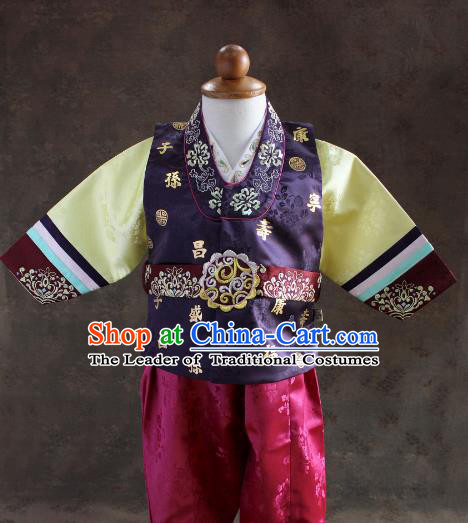 Traditional South Korean Handmade Hanbok Children Little Boys Birthday Customization Purple Shirt and Pants, Top Grade Korea Hanbok Costume Complete Set for Kids