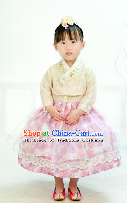 Traditional South Korean Handmade Hanbok Children Little Girls Birthday Customization Embroidery White Blouse and Pink Dress Complete Set, Top Grade Korea Hanbok Costume for Kids