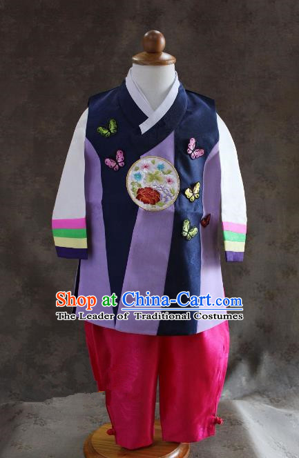 Traditional South Korean Handmade Hanbok Children Baby Birthday Customization Embroidery Butterfly Clothing, Top Grade Korea Hanbok Costume Complete Set for Boys