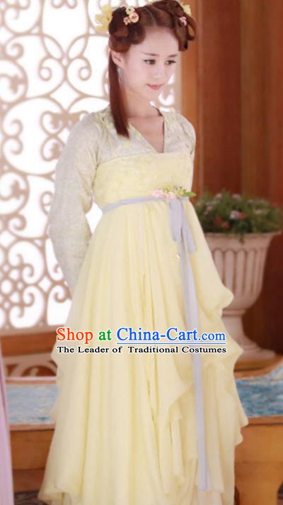 Traditional Chinese Ancient Tang Dynasty Swordswoman Embroidered Dress Clothing for Women