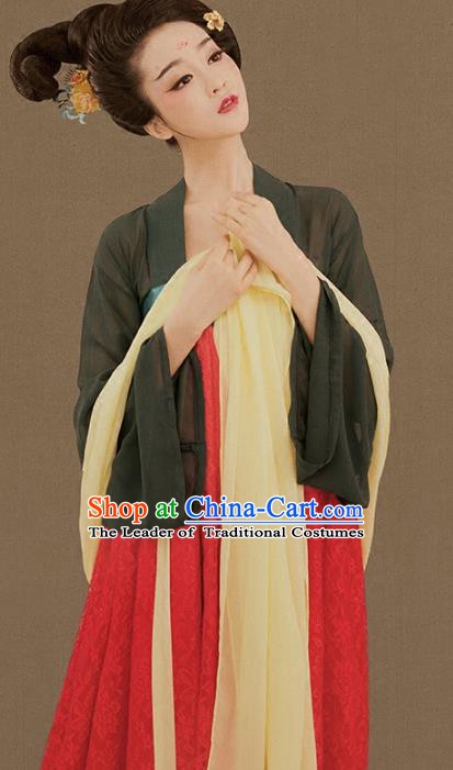 Traditional Chinese Ancient Tang Dynasty Palace Lady Embroidered Hanfu Clothing for Women