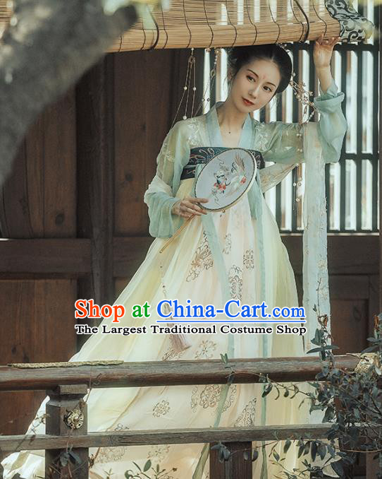 Chinese Ancient Apsara Embroidered Costumes Traditional Tang Dynasty Imperial Consort Hanfu Dress for Women