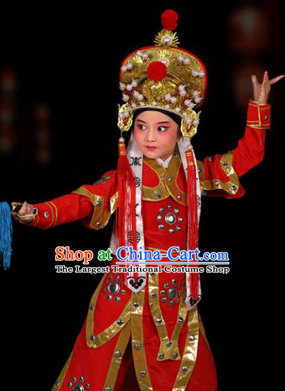Traditional China Beijing Opera Costume Gifted Scholar Embroidered Robe and Hat Ancient Chinese Peking Opera Embroidery Clothing