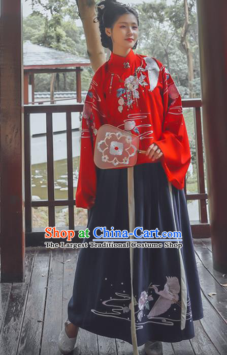 Chinese Ming Dynasty Princess Costumes Ancient Nobility Lady Embroidered Blouse and Skirt for Women