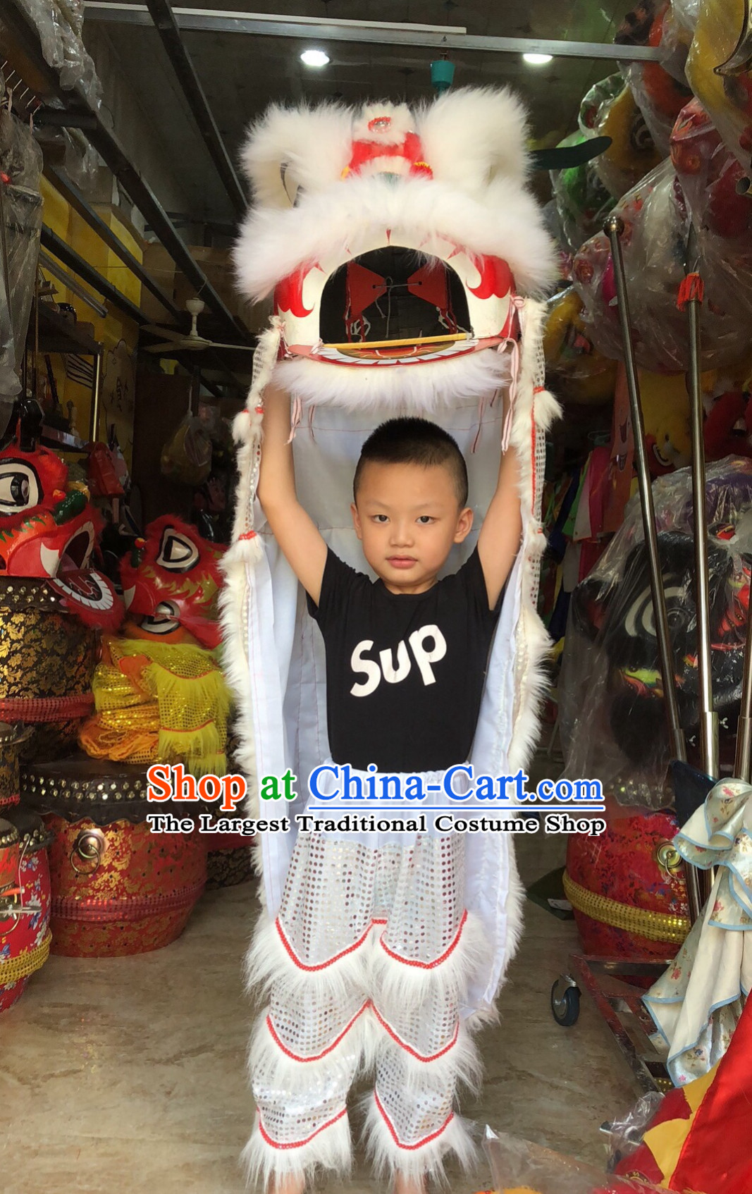 Traditional Chinese One Kid One Child Lion Dance Costume