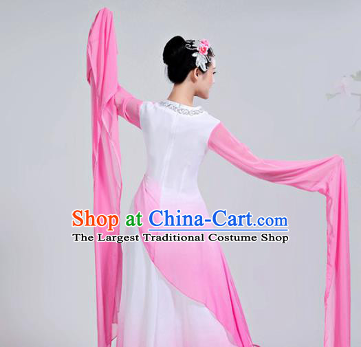 Chinese Traditional Folk Dance Costumes Classical Dance Water Sleeve Dress for Women