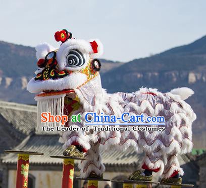 Chinese Traditional Parade Wool Lion Head Professional Celebration Lion Dance Costumes Complete Set