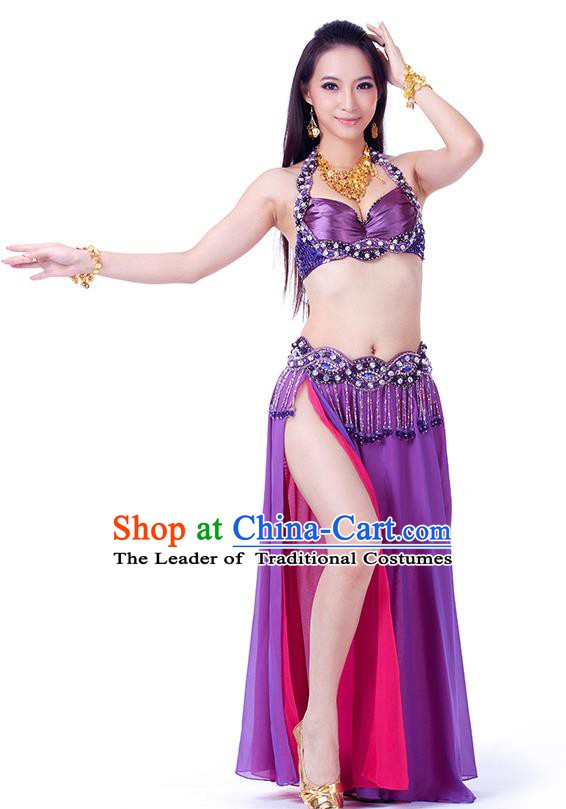Traditional Indian Belly Dance Purple and Rosy Dress India Oriental Dance Clothing for Women