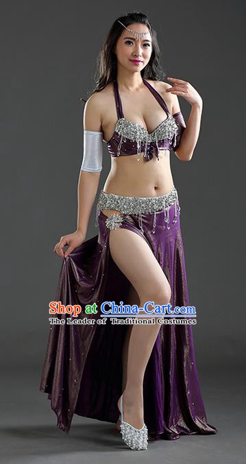 Traditional Egypt Dance Purple Dress India Oriental Belly Dance Costume for Women