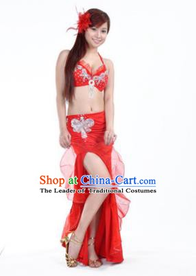 Traditional Indian Stage Oriental Dance Red Dress Belly Dance Costume for Women