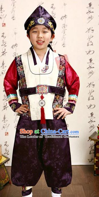 Korean Traditional Hanbok Clothing Korean Boys Hanbok Costumes White Shirt and Purple Pants for Kids