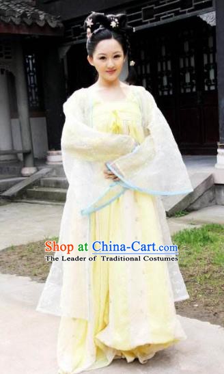 Ancient Chinese Tang Dynasty Princess Embroidered Hanfu Dress Replica Costume for Women