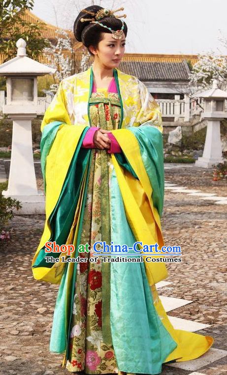Ancient Chinese Tang Dynasty Imperial Consort of Li Zhi Hanfu Dress Replica Costume for Women