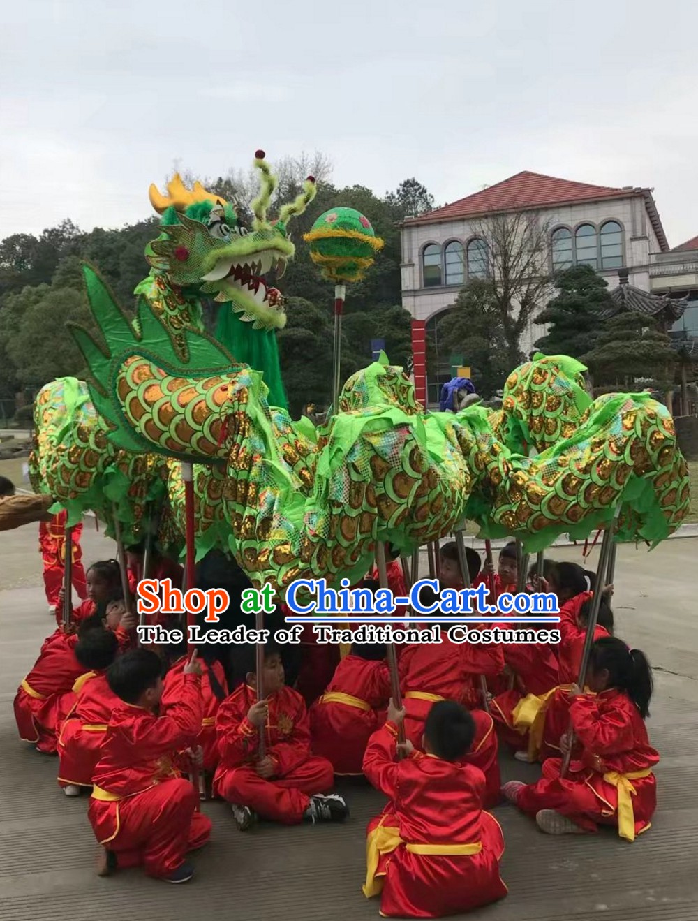Asian Chinese Classical Parade Procession Dragon Dance Costumes Complete Set for 8 Adults or Kids