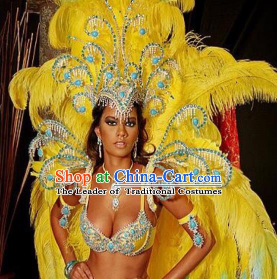 Top Grade Brazilian Carnival Costumes Halloween Feather Accessories Feather Headdresses Miami Stage Performance Feathers Wings for Women