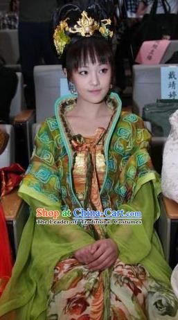 Traditional Chinese Ancient Palace Lady Tang Dynasty Embroidered Dress Replica Costume for Women