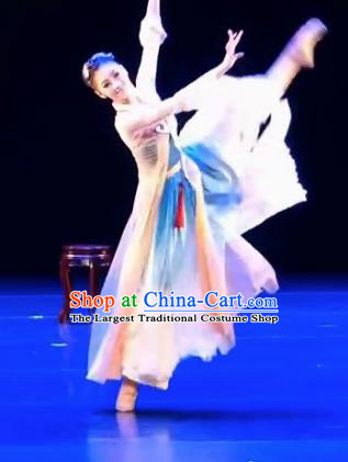 Chinese Traditional Folk Dance Costume Classical Dance Dress for Women