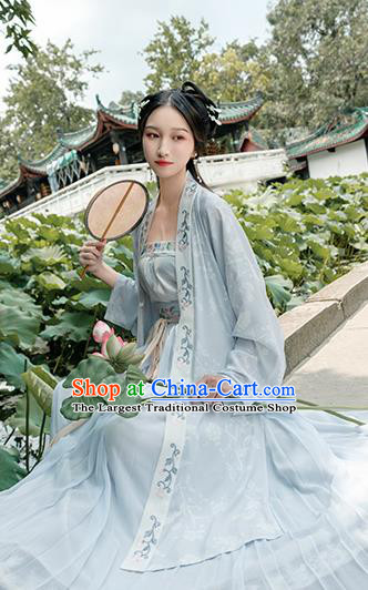 Chinese Traditional Song Dynasty Young Lady Costume Ancient Embroidered Hanfu Dress for Women