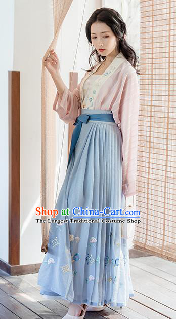 Traditional Chinese Song Dynasty Young Lady Costumes Ancient Embroidered Hanfu Dress for Women
