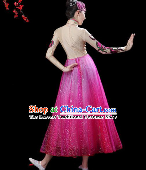 Top Grade Modern Dance Stage Show Costumes Chorus Group Dance Rosy Veil Dress for Women