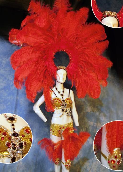Halloween Catwalks Stage Show Samba Costumes Brazilian Carnival Parade Clothing and Red Feather Headwear for Women