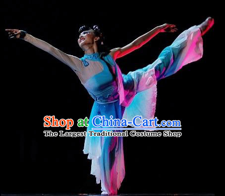 Chinese Traditional Classical Dance Costumes Folk Dance Stage Performance Dress for Women