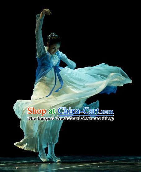 Chinese Traditional Classical Dance Costumes Stage Performance Folk Dance Blue Dress for Women