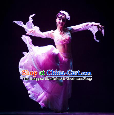 Chinese Traditional Classical Dance Group Dance Costumes Stage Performance Pink Dress for Women