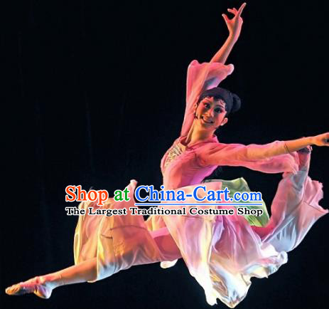 Chinese Traditional Classical Dance Group Dance Pink Costumes Stage Performance Dress for Women