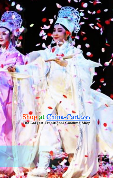 Traditional Chinese Classical Dance Costumes Beijing Opera Butterfly Lovers Dance Stage Show Clothing for Men