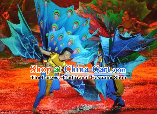 Chinese Dynamic Yunnan Ethnic Peacock Dance Stage Performance Costume for Men