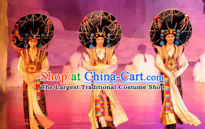 Chinese Oriental Apparel Zang Nationality Dance Dress Stage Performance Costume and Headpiece for Women