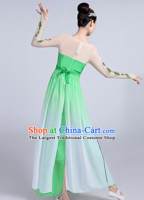 Traditional Chinese Classical Dance Lotus Dance Green Dress Stage Show Costume for Women