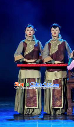 Trilogy of the Rapids Chinese Peking Opera Dress Stage Performance Dance Costume and Headpiece for Women