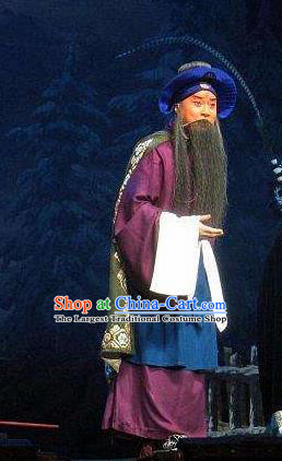 Su Wu In Desert Chinese Beijing Opera Herdsman Clothing Stage Performance Dance Costume and Headpiece for Men