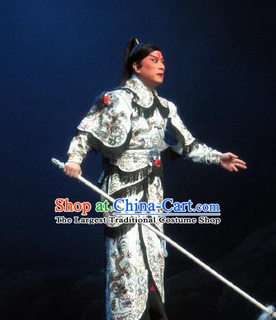 Su Wu In Desert Chinese Beijing Opera General Armor Clothing Stage Performance Dance Costume and Headpiece for Men