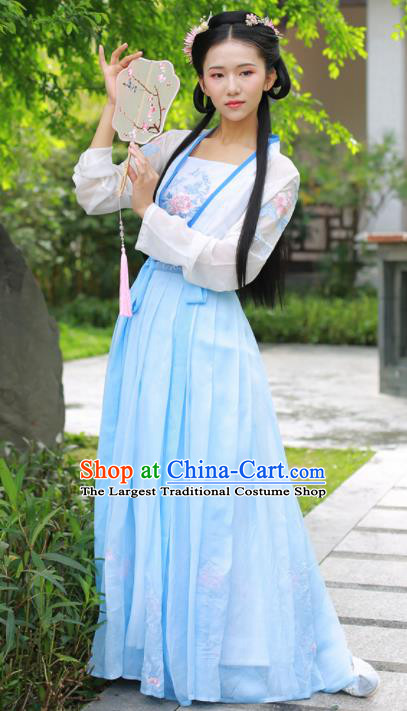Chinese Ancient Peri Traditional Embroidered Hanfu Dress Tang Dynasty Princess Historical Costume for Women
