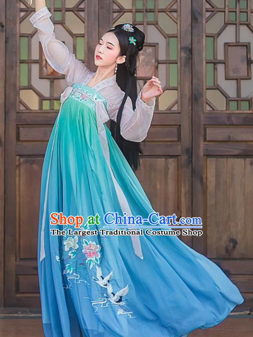 Chinese Ancient Palace Embroidered Hanfu Dress Traditional Tang Dynasty Princess Historical Costume for Women