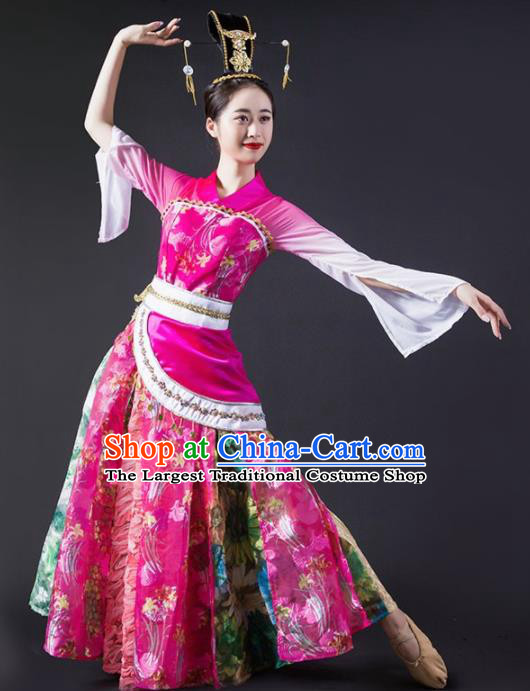 Chinese Traditional Classical Dance Costume Palace Peri Dance Rosy Dress for Women