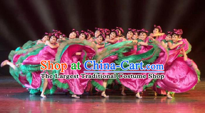 Chinese Traditional Dance Clothing Classical Dance Stage Performance Costume for Women