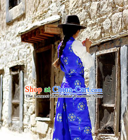 Chinese Traditional Tibetan Royalblue Dress Zang Nationality Heishui Dance Ethnic Costume for Women